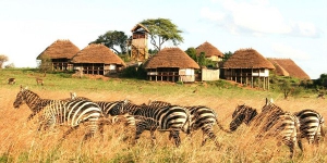 4 Days Uganda Wildlife Safari to Kidepo National Park
