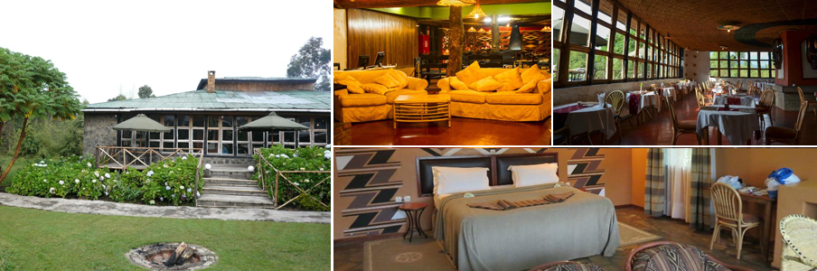Mountain-Gorilla-View-Lodge