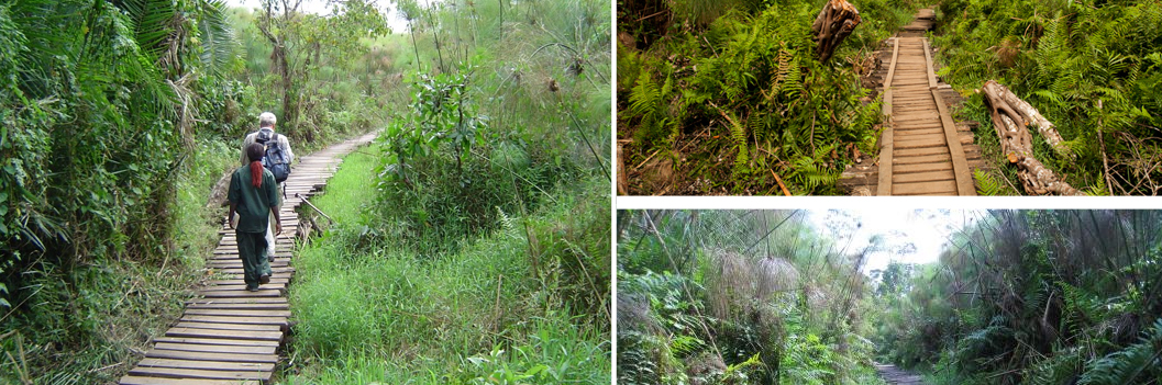 bigodi-wetland-tour-kibale