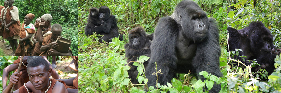 bwindi-gorilla-trekking-and-batwa-encounter