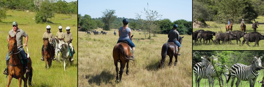 horseback-lake-mburo