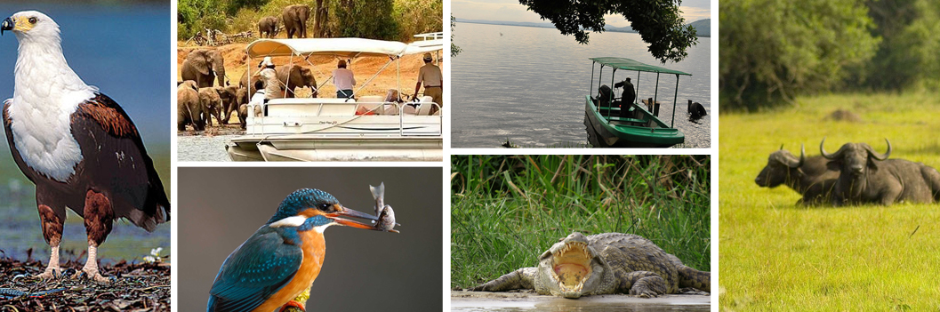 lake-mburo-boat-cruise