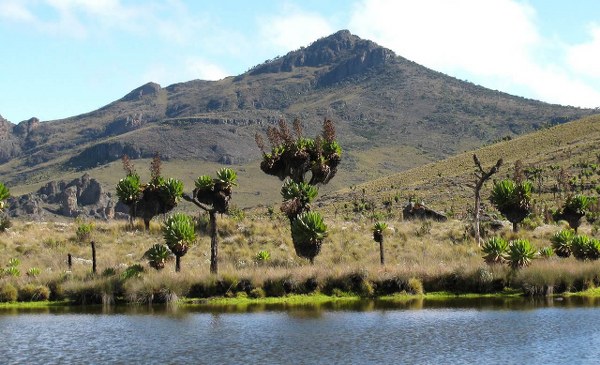 Mountain Elgon National Park