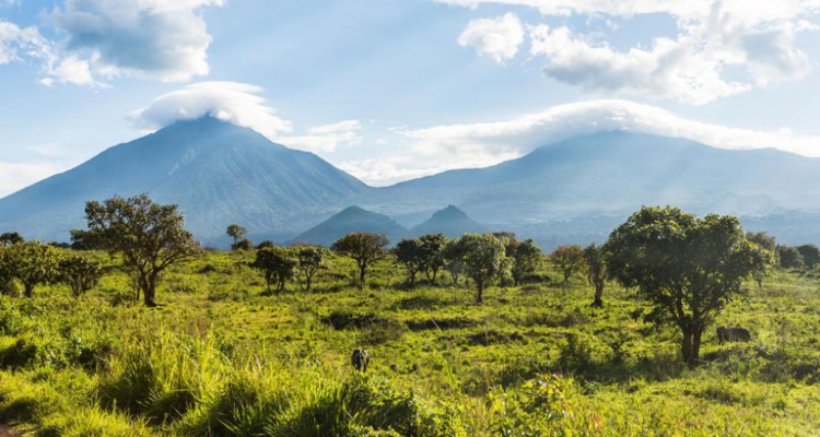 Virunga National Park