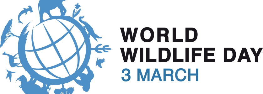 UN is set celebrate the World’s Wildlife day in Arua on 3rd March