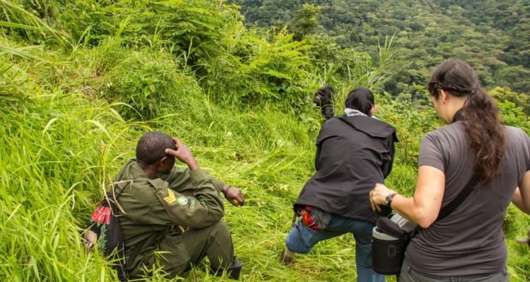 Bwindi Impenetrable Forest National Park