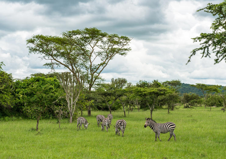 Lake Mburo National Park